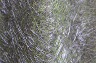 Ludstone fibreglass roof work